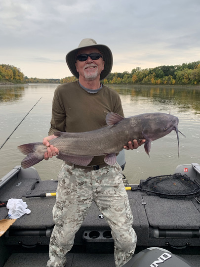 Channel Catfish