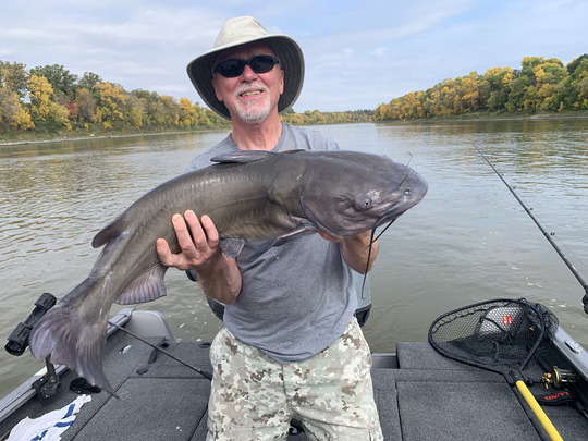 Channel Catfish