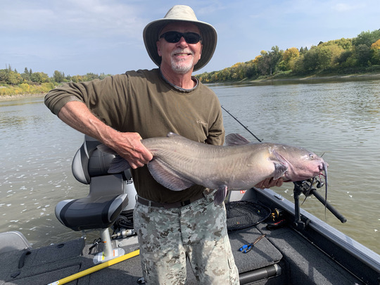 Channel Catfish