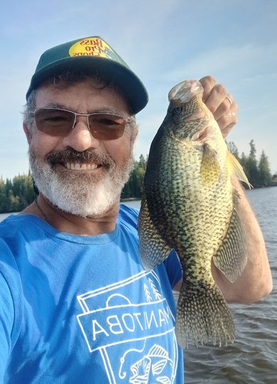 Black Crappie