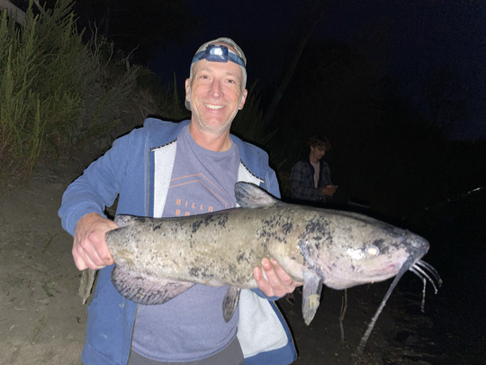 Channel Catfish