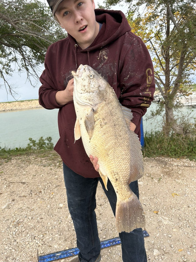 Freshwater Drum