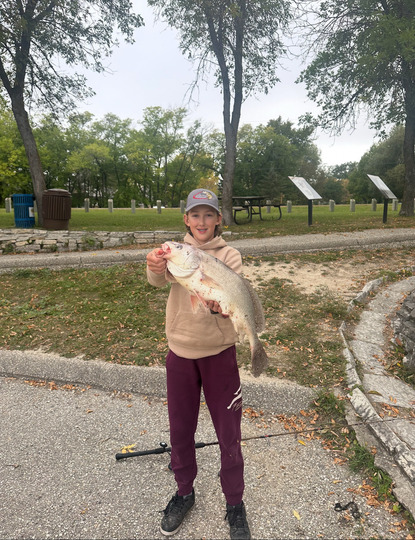 Freshwater Drum