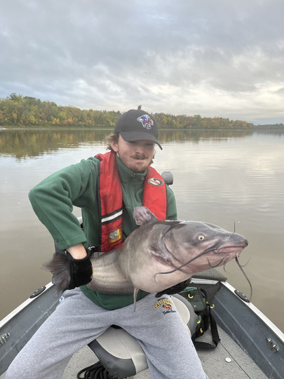 Channel Catfish