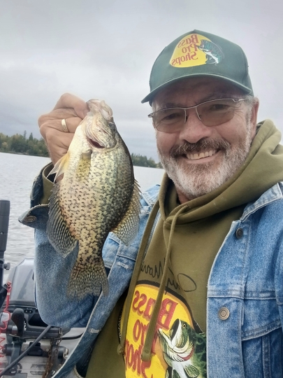 Black Crappie