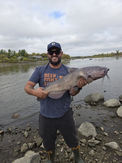 Channel Catfish