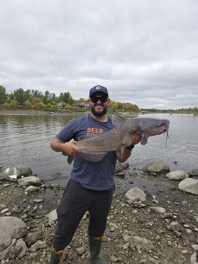 Channel Catfish