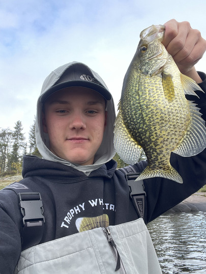 Black Crappie