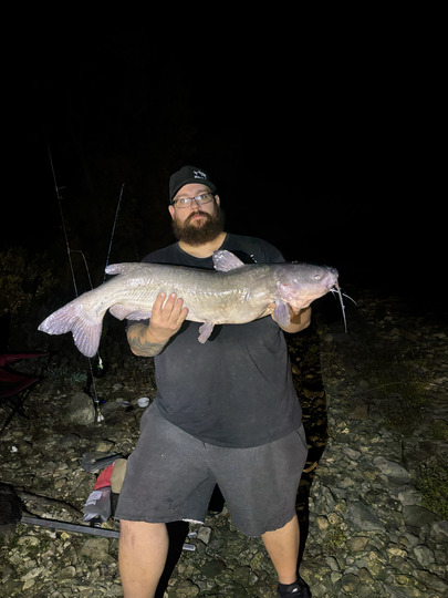 Channel Catfish
