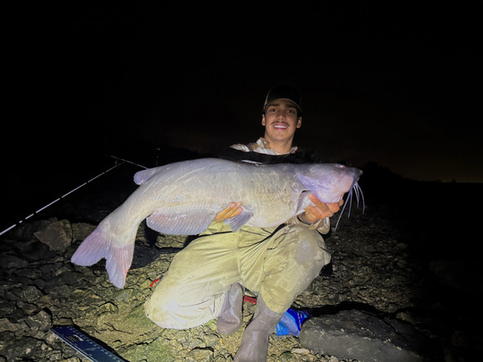 Channel Catfish