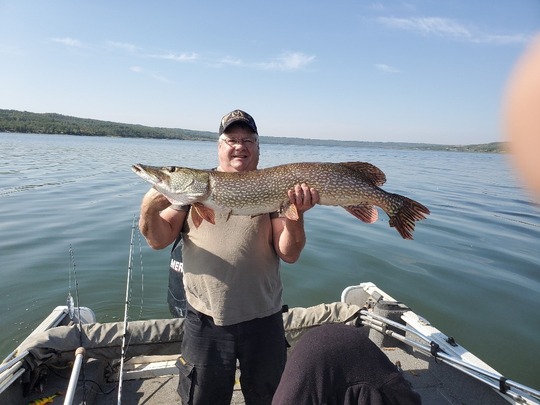 Northern Pike