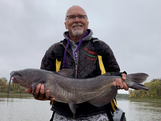 Channel Catfish