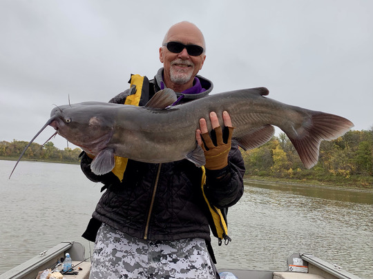 Channel Catfish