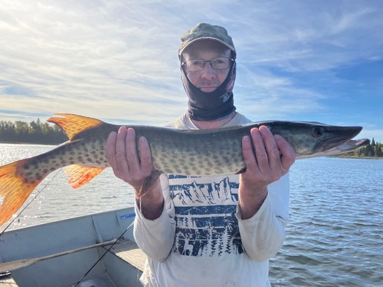 Muskellunge