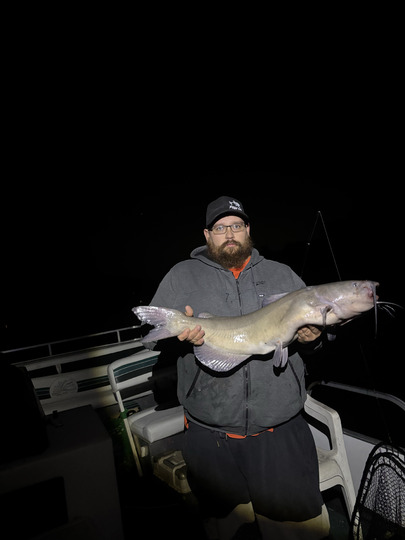 Channel Catfish