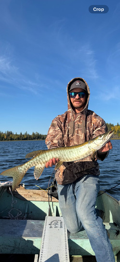 Muskellunge
