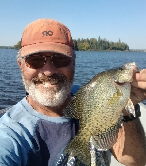 Black Crappie