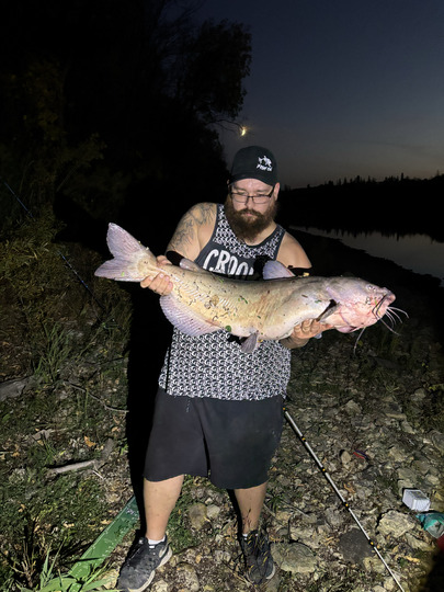Channel Catfish