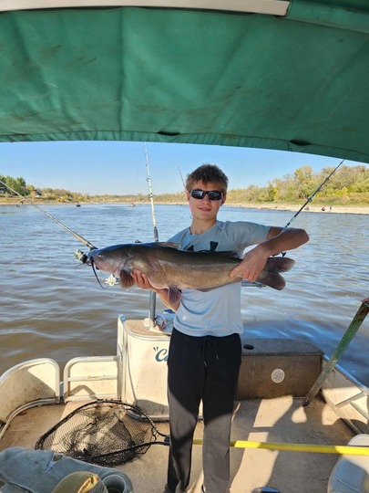 Channel Catfish