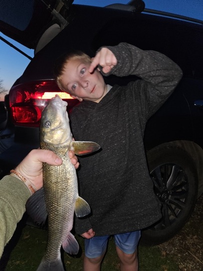 Sucker