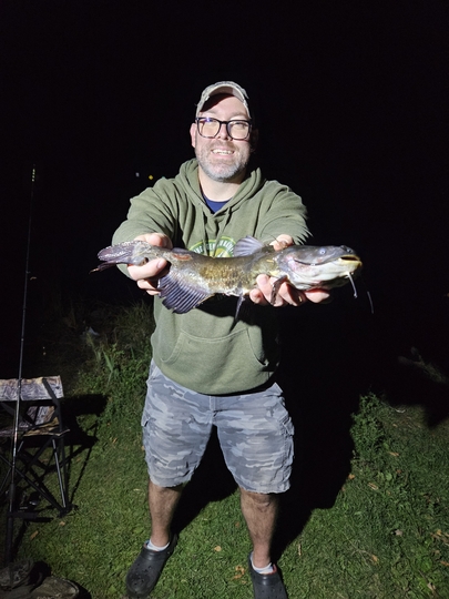 Bullhead