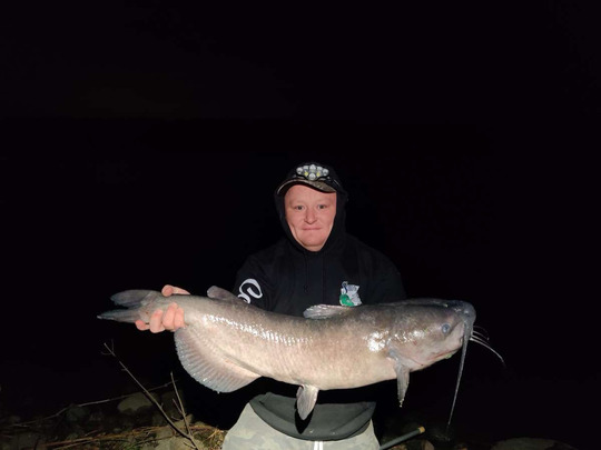 Channel Catfish