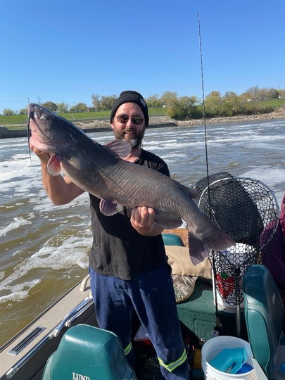 Channel Catfish