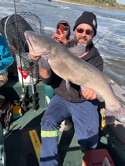 Channel Catfish