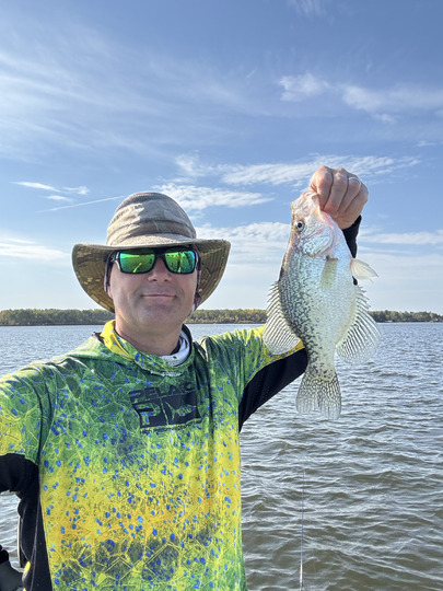 Black Crappie