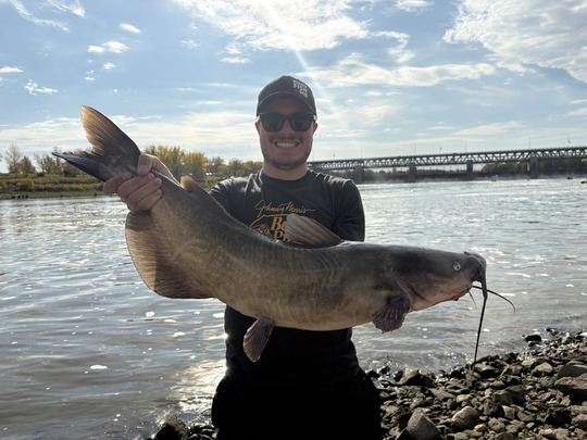 Channel Catfish