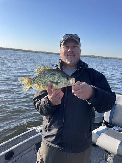 Black Crappie