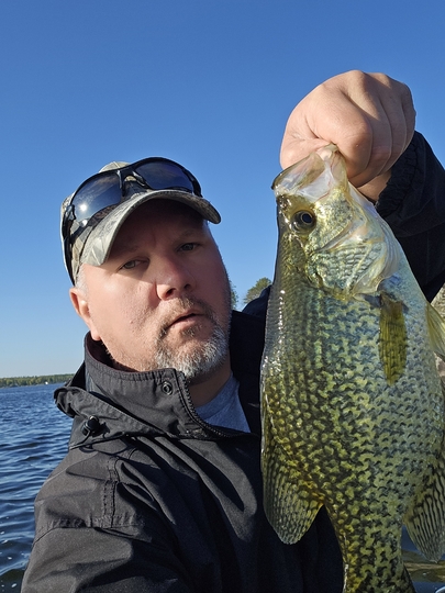 Black Crappie