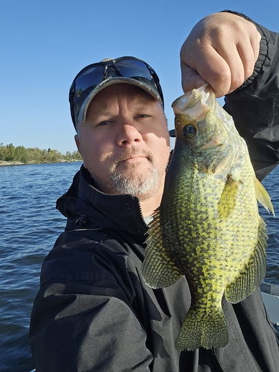 Black Crappie