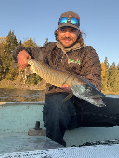 Muskellunge