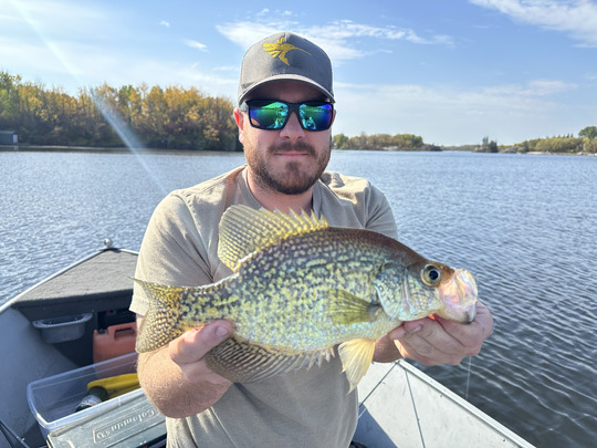 Black Crappie