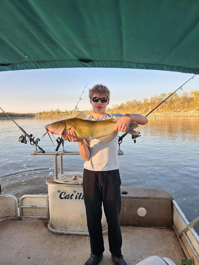 Channel Catfish