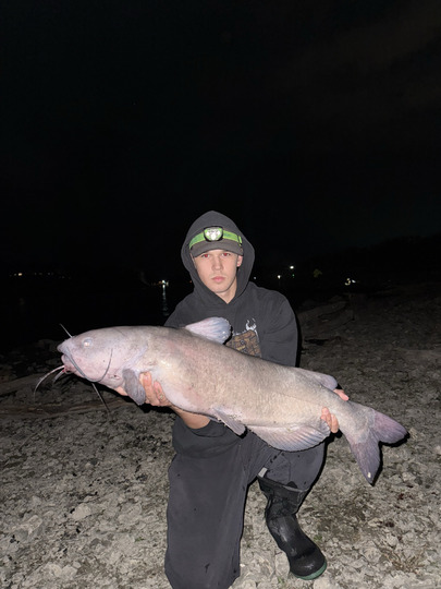 Channel Catfish