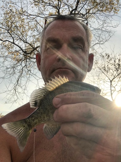 Sunfish