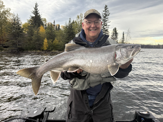 Lake Trout