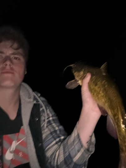 Bullhead