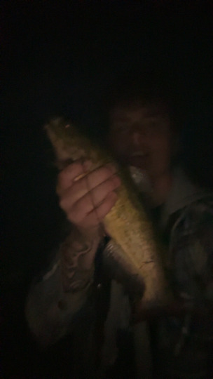 Bullhead