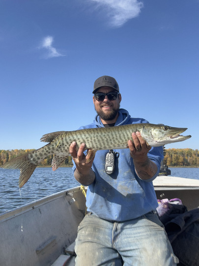 Muskellunge