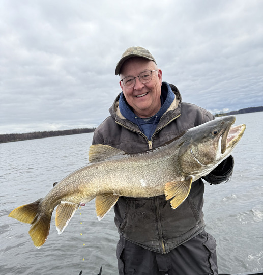 Lake Trout