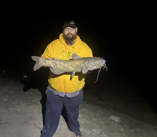 Channel Catfish