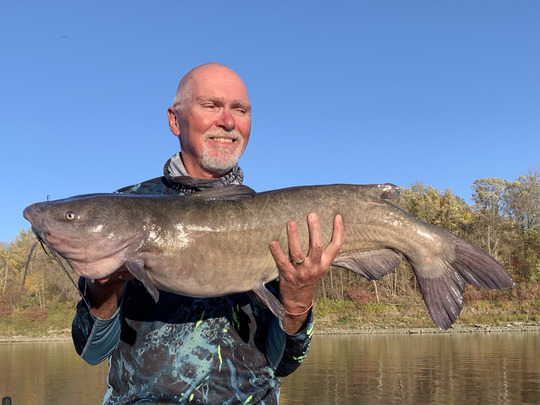 Channel Catfish