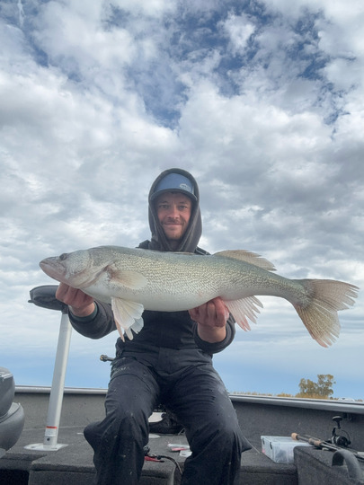 Walleye