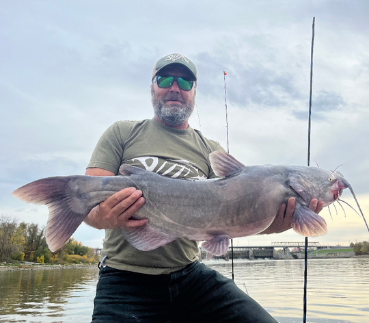Channel Catfish