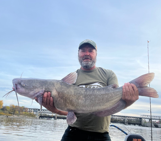 Channel Catfish