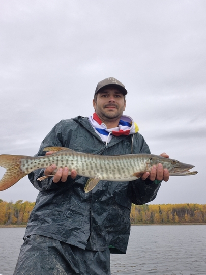 Muskellunge