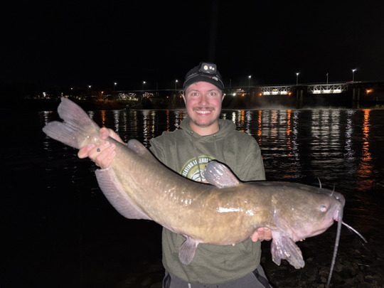 Channel Catfish